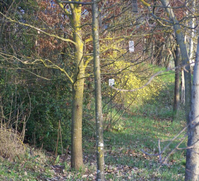 Scorcio area privata protetta